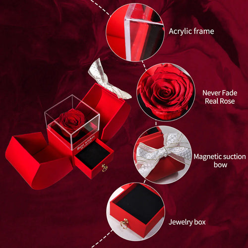 Enchanted Rose Jewelry Box – Preserved Flowers & Necklace