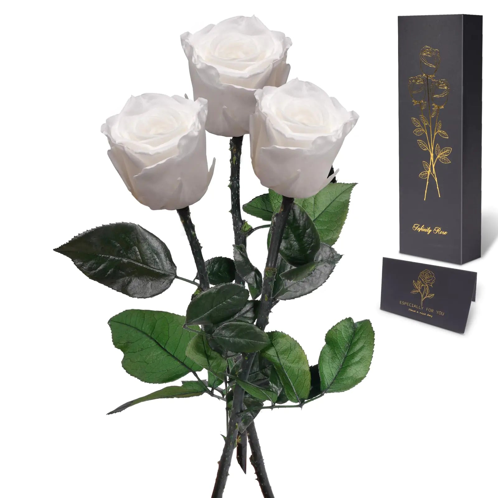 Lotus Bloom –  Preserved Rose Arrangement