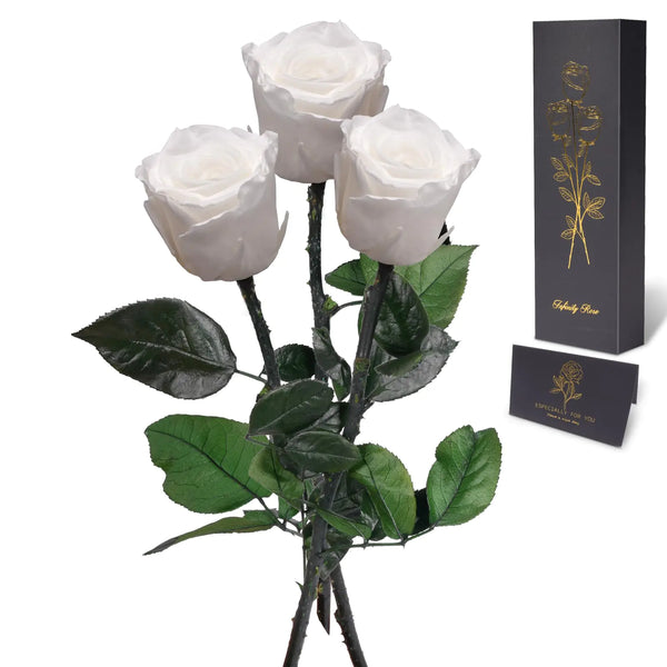 Lotus Bloom –  Preserved Rose Arrangement