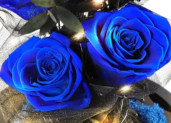 Royal Dome Rose Gift Box – Preserved Eternal Roses for Her